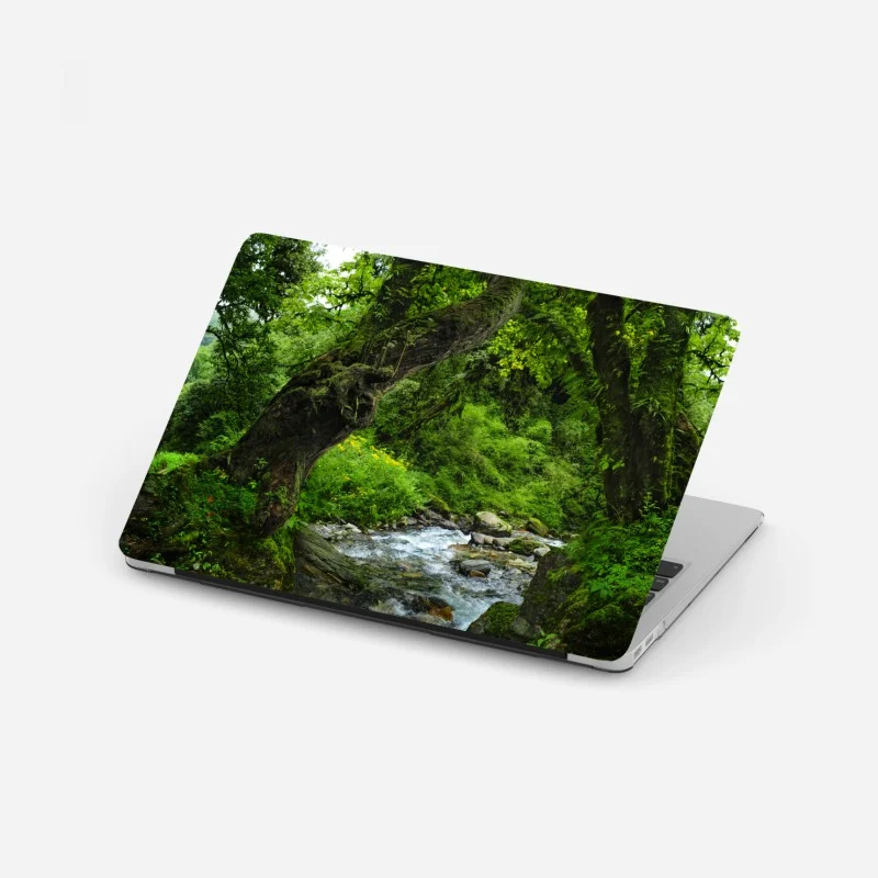 Naklejka na laptopa mszysty leśny strumień panorama