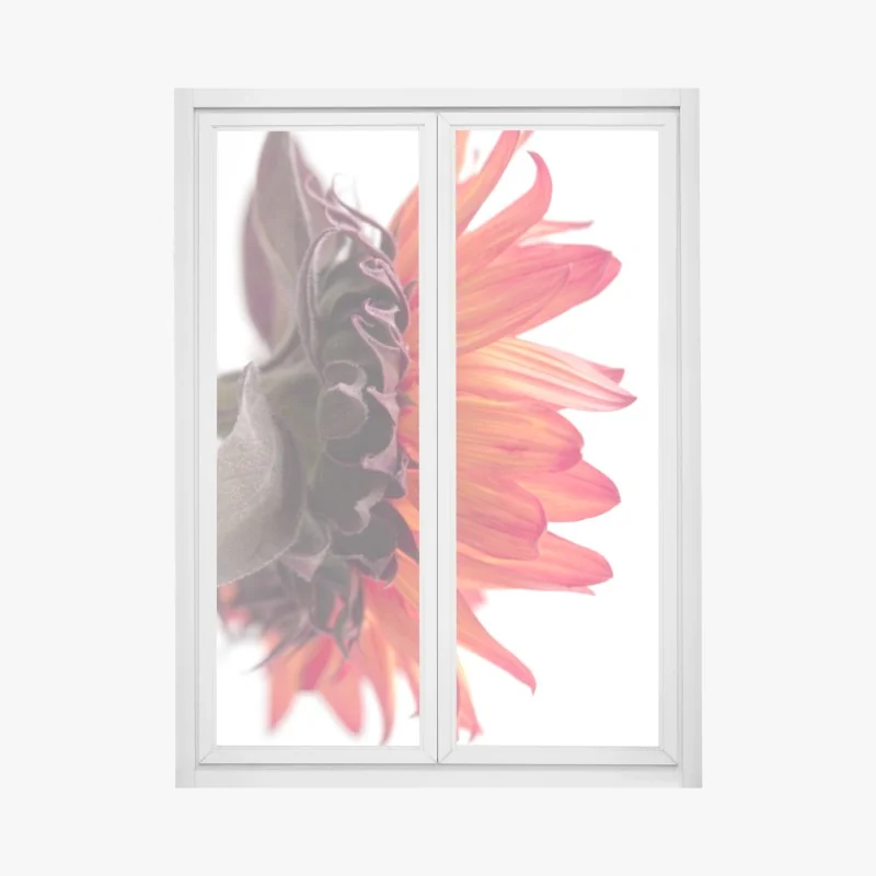 Naklejka na okno majestatyczny alpejski szczyt zimą – Wallissimo®