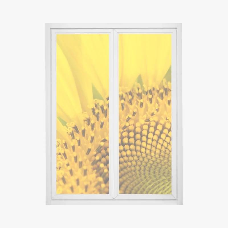 Naklejka na okno słoneczna uliczka z zielonymi okiennicami – Wallissimo®