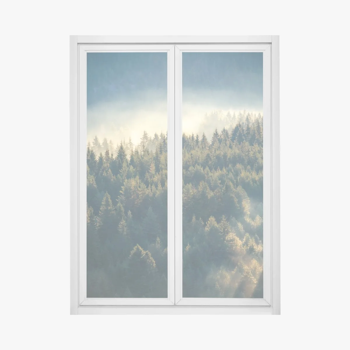 Naklejka na okno mglisty las sosnowy o świcie – Wallissimo® Naklejka na okno mglisty las sosnowy o świcie – Wallissimo®