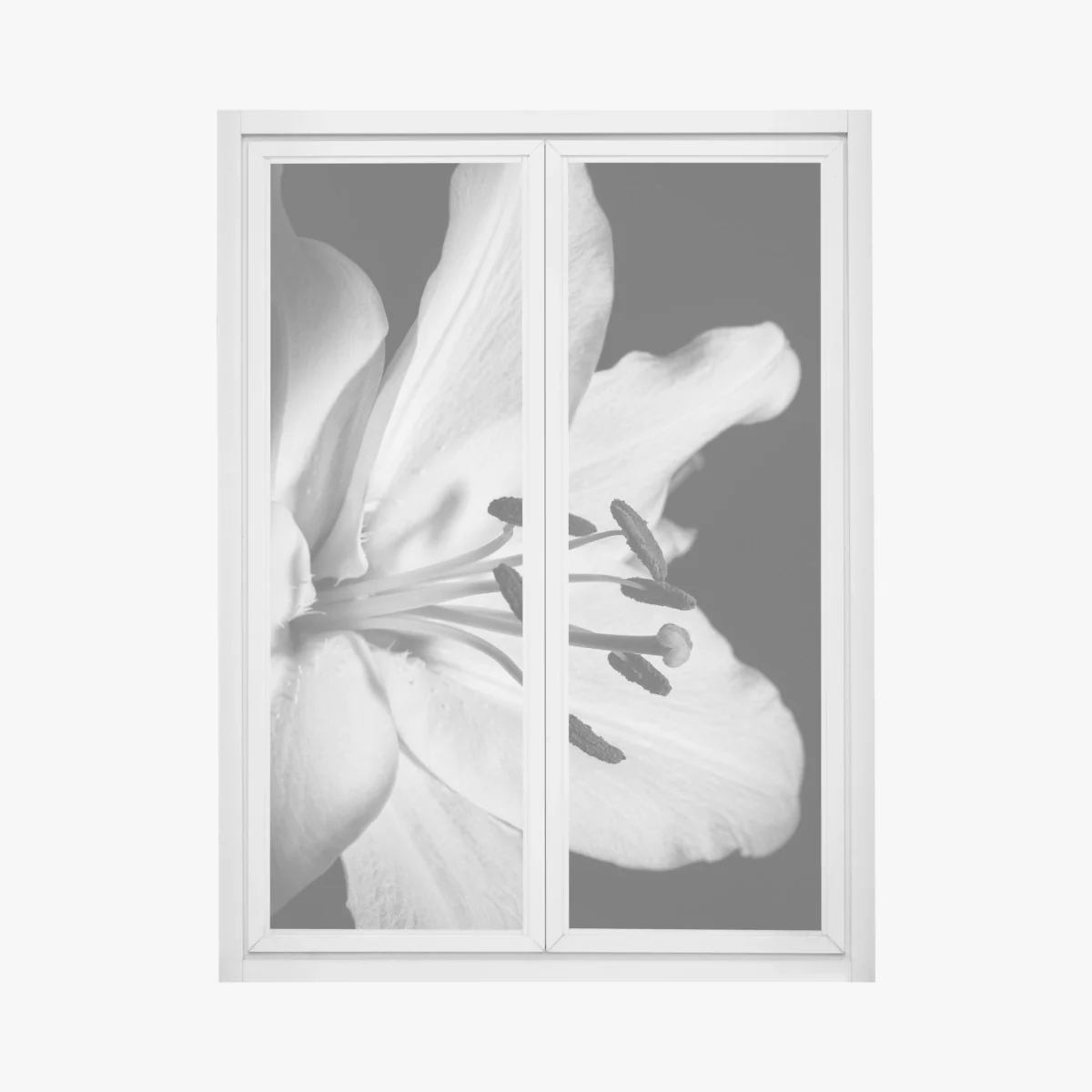 Naklejka na okno monochromatyczna lilia zbliżenie – Wallissimo® Naklejka na okno monochromatyczna lilia zbliżenie – Wallissimo®