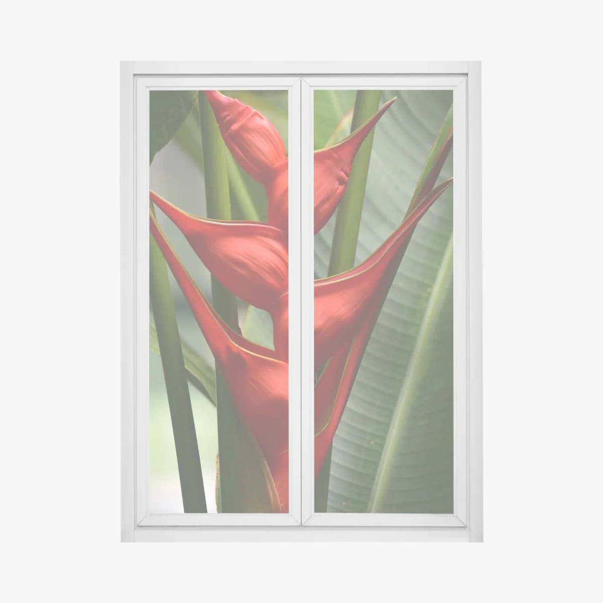 Naklejka na okno intensywny czerwony kwiat heliconia – Wallissimo® Naklejka na okno intensywny czerwony kwiat heliconia – Wallissimo®