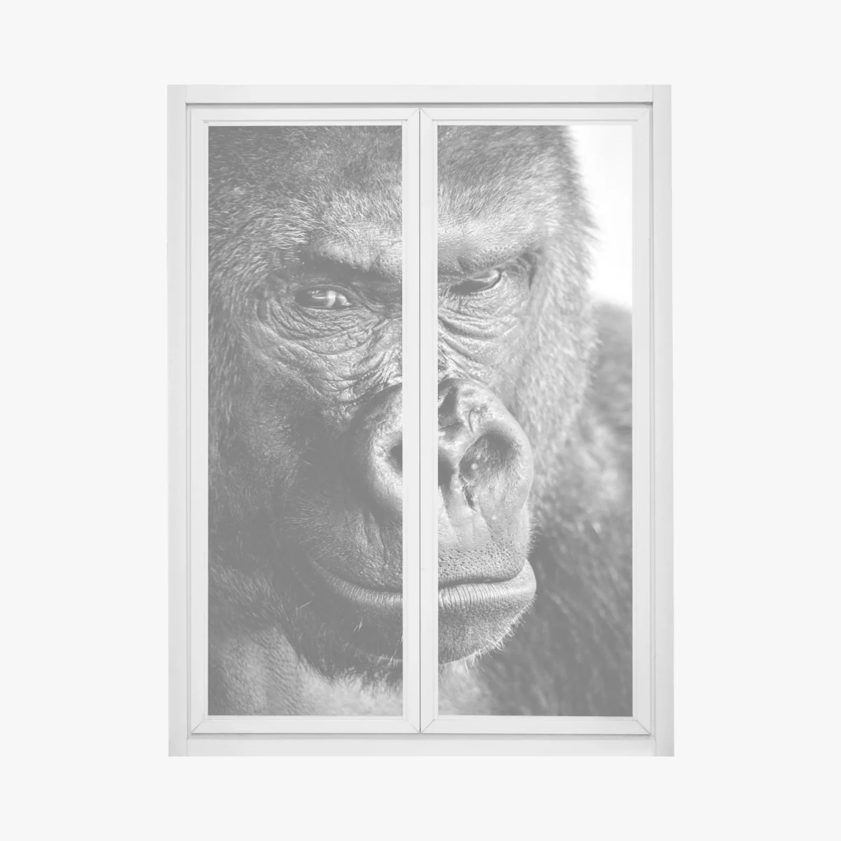 Naklejka na okno intensywny portret goryla w czerni i bieli – Wallissimo® Naklejka na okno intensywny portret goryla w czerni i bieli – Wallissimo®