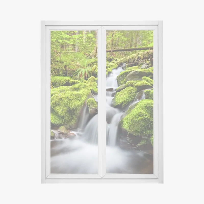 Naklejka na okno mechowy strumień przy Sol Duc Falls