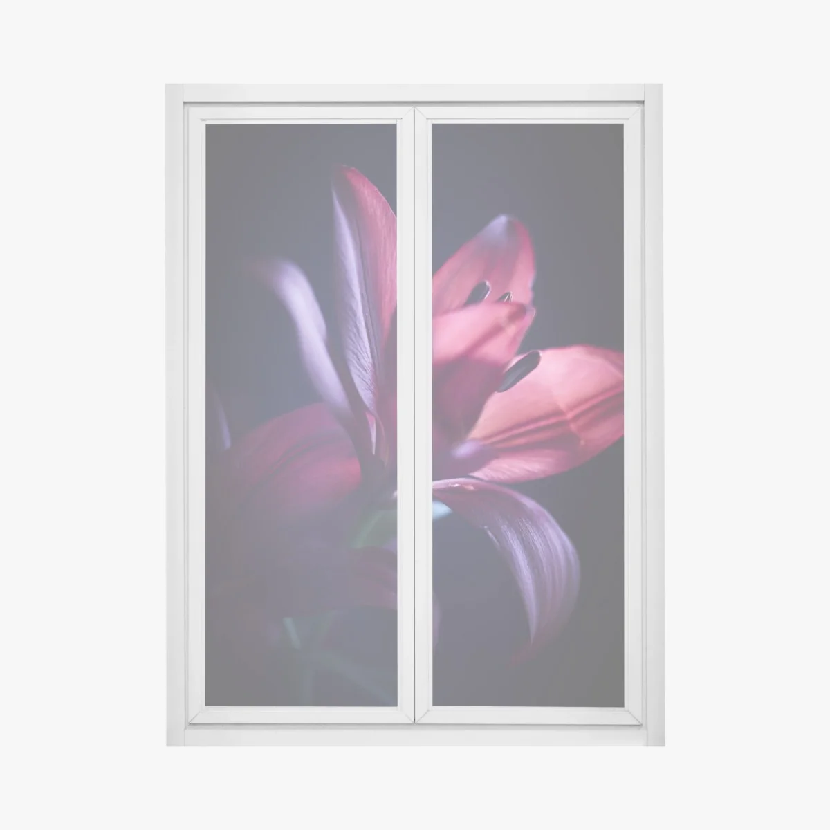 Naklejka na okno czerwona lilia w półmroku – Wallissimo® Naklejka na okno czerwona lilia w półmroku – Wallissimo®