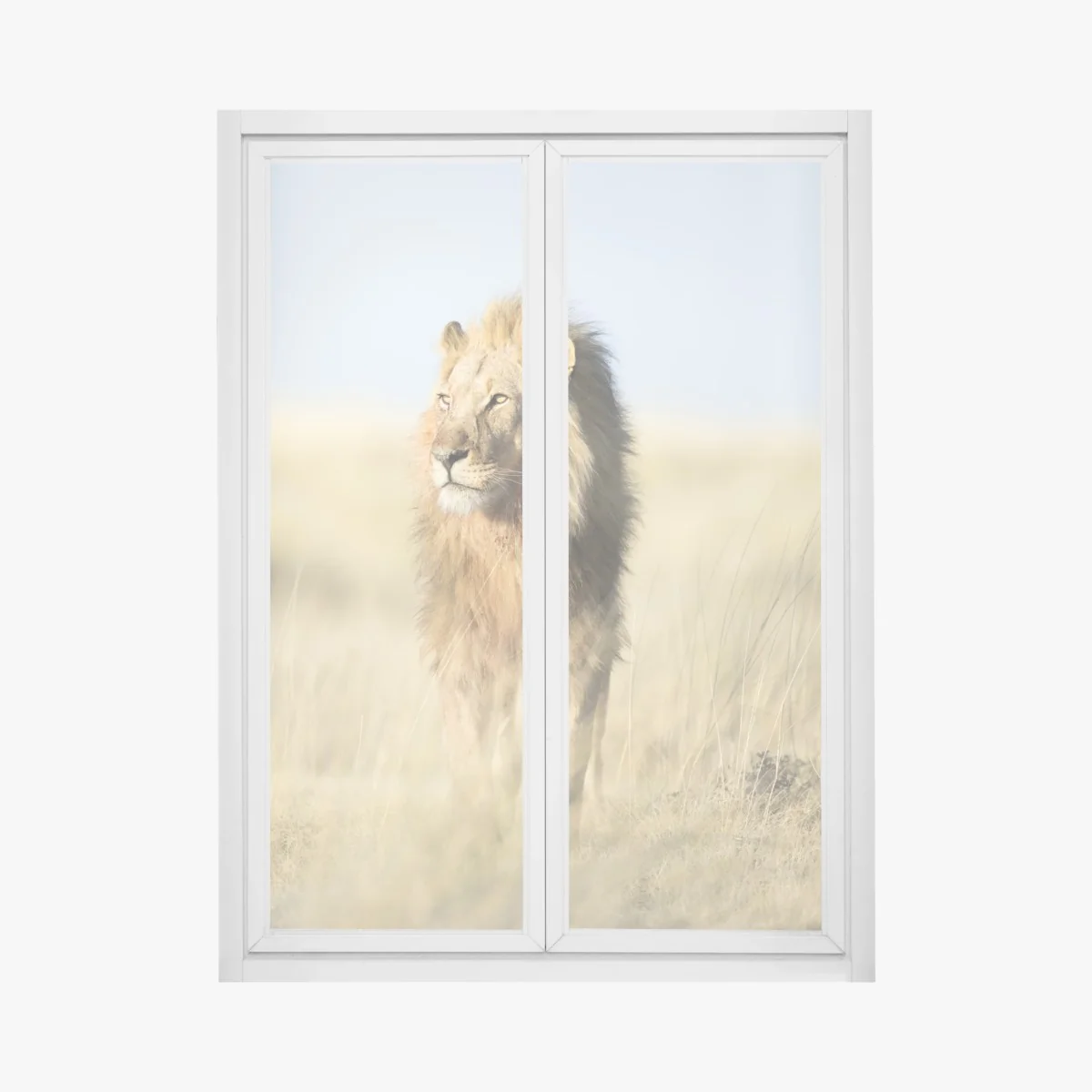 Naklejka na okno majestatyczny lew na sawannie – Wallissimo® Naklejka na okno majestatyczny lew na sawannie – Wallissimo®