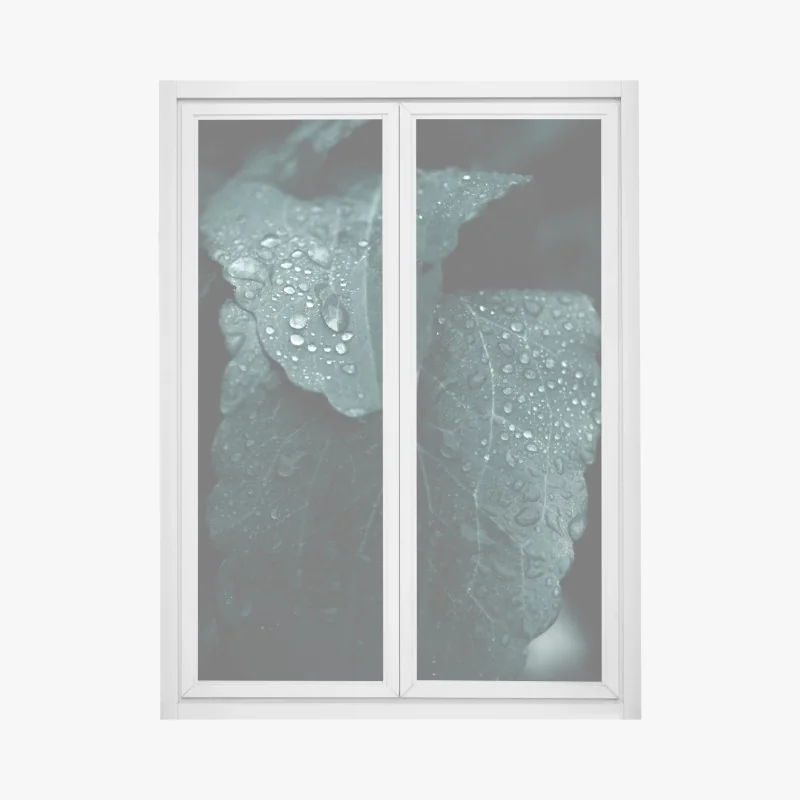 Naklejka na okno zachód słońca nad plażą Amrum – Wallissimo®