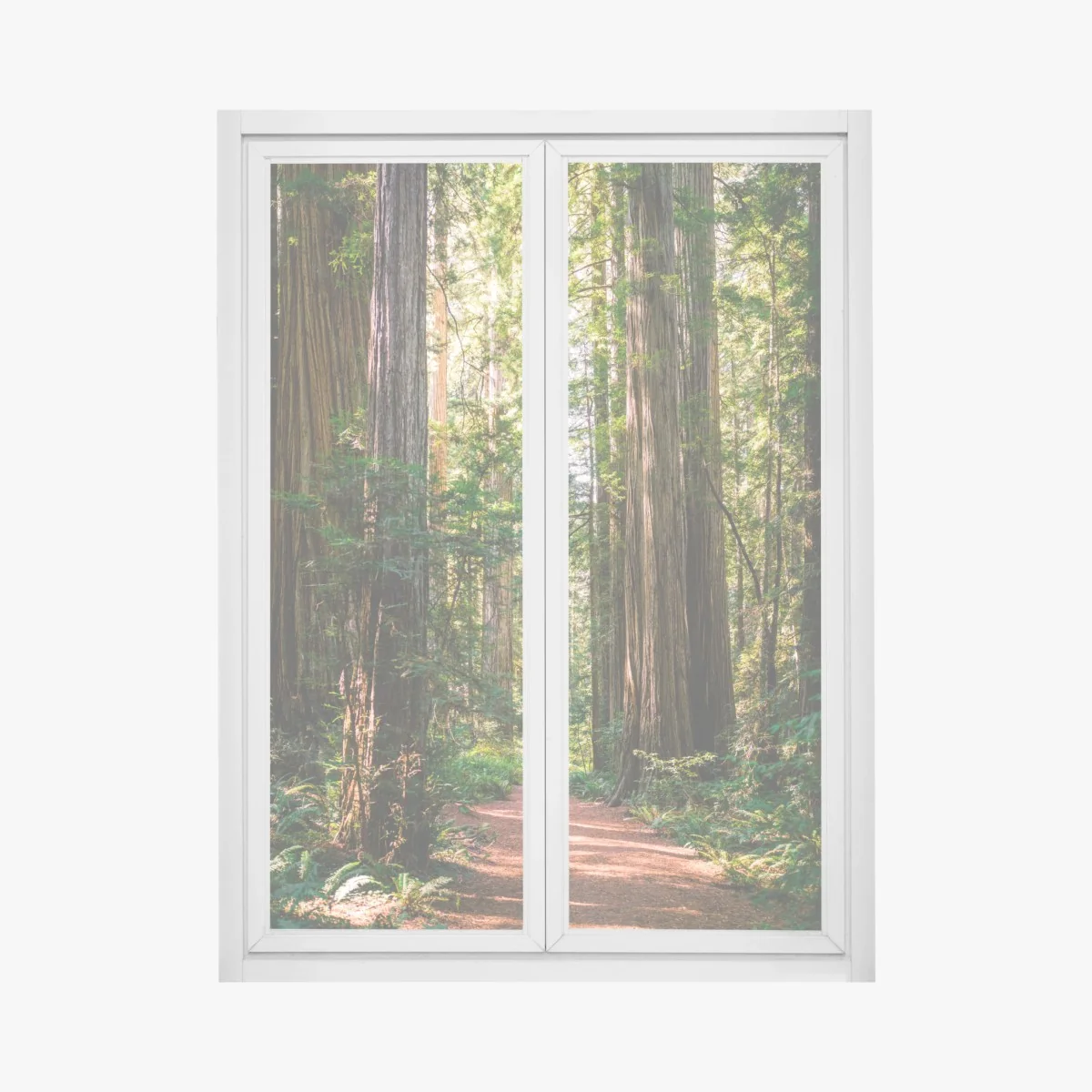 Naklejka na okno majestatyczna ścieżka w lesie sekwoi – Wallissimo® Naklejka na okno majestatyczna ścieżka w lesie sekwoi – Wallissimo®