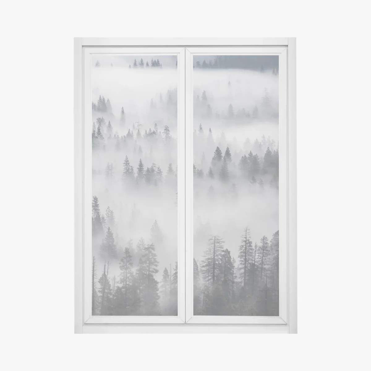Naklejka na okno mglisty las sosnowy – Wallissimo® Naklejka na okno mglisty las sosnowy – Wallissimo®
