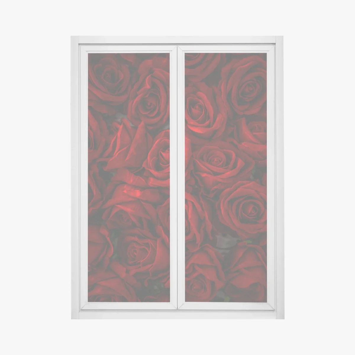 Naklejka na okno intensywne czerwone róże z bliska – Wallissimo®