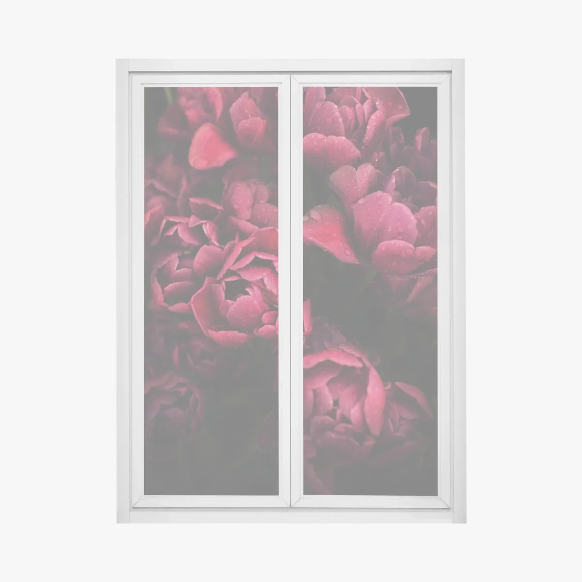 Naklejka na okno głębokie bordowe kwiaty z kroplami wody – Wallissimo® Naklejka na okno głębokie bordowe kwiaty z kroplami wody – Wallissimo®