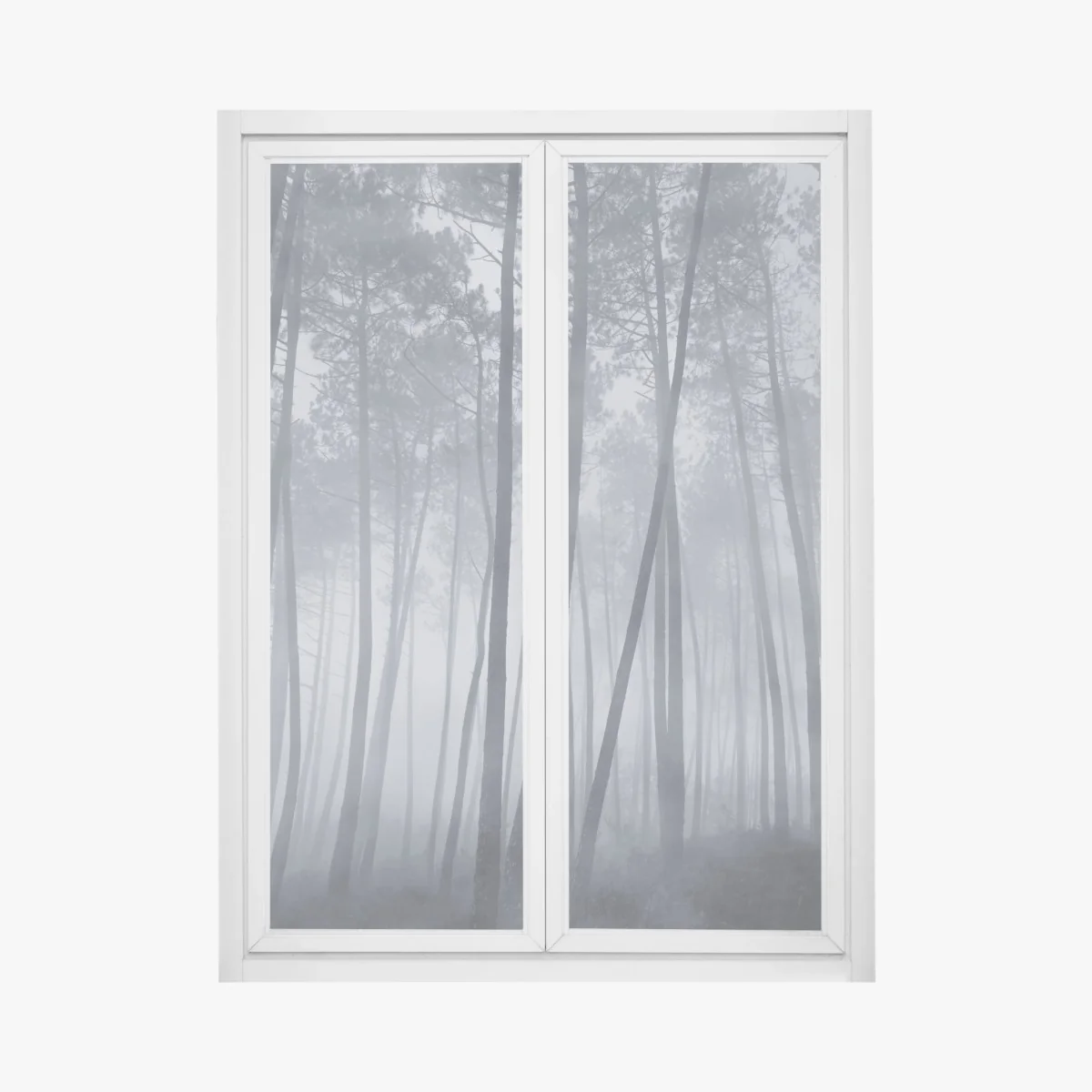 Naklejka na okno mglisty sosnowy las nocą – Wallissimo® Naklejka na okno mglisty sosnowy las nocą – Wallissimo®