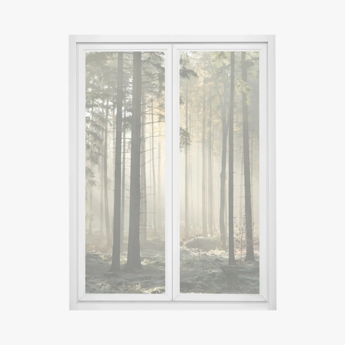 Naklejka na okno mglisty poranek w lesie z promieniami słońca – Wallissimo® Naklejka na okno mglisty poranek w lesie z promieniami słońca – Wallissimo®