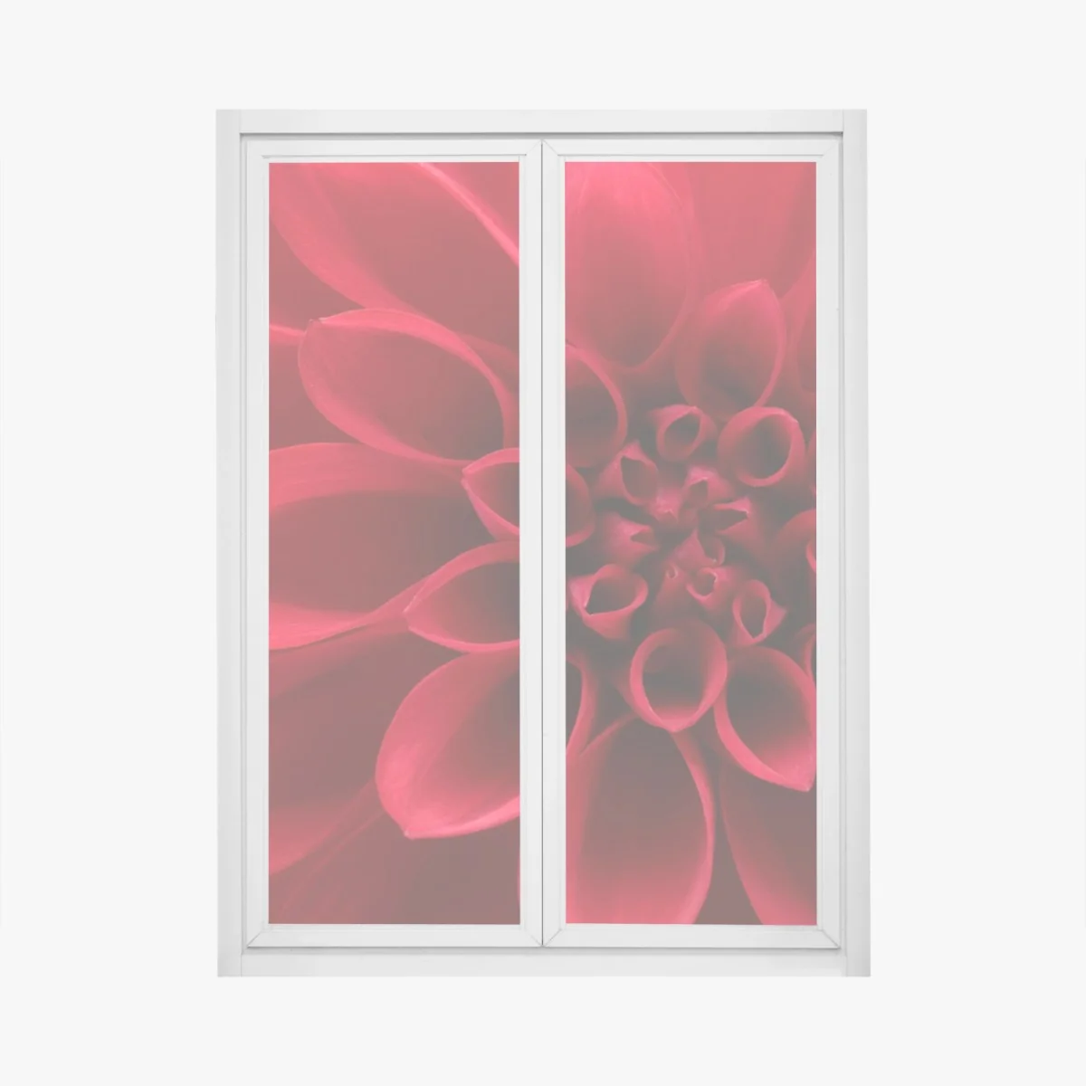 Naklejka na okno zbliżenie czerwonej dalii – Wallissimo®