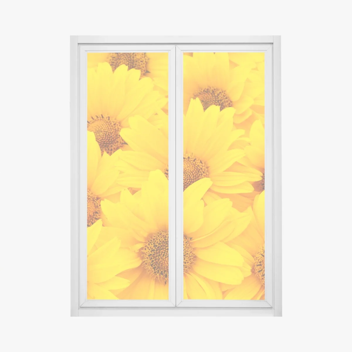 Naklejka na okno intensywne żółte słoneczniki w zbliżeniu – Wallissimo® Naklejka na okno intensywne żółte słoneczniki w zbliżeniu – Wallissimo®