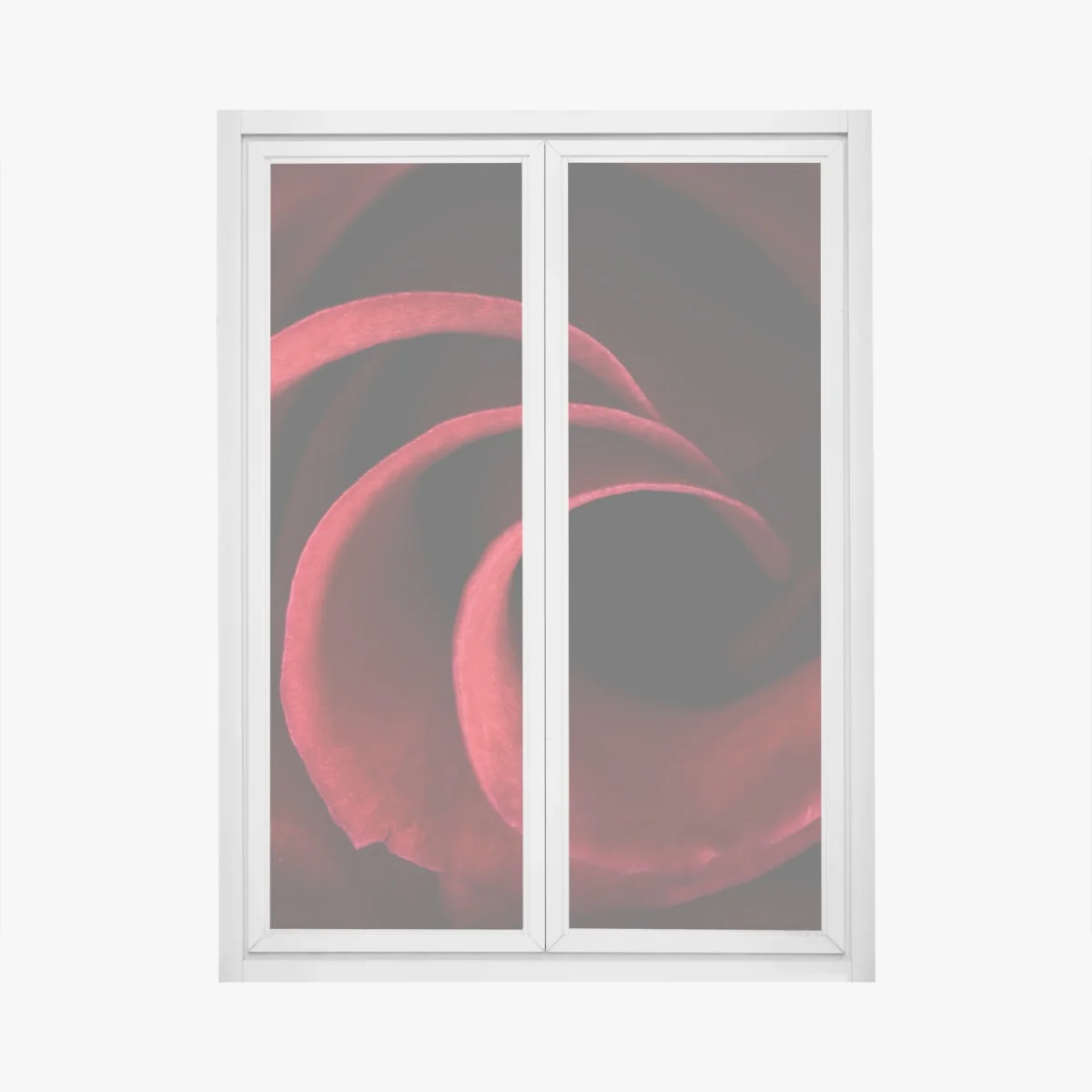 Naklejka na okno spirala głębokich czerwonych płatków róży – Wallissimo®