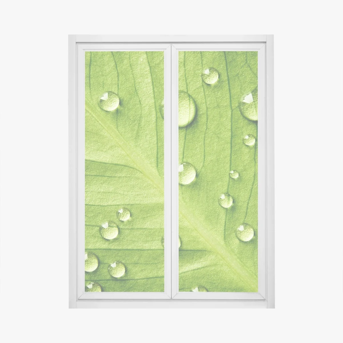 Naklejka na okno świeży zielony liść z kroplami wody – Wallissimo® Naklejka na okno świeży zielony liść z kroplami wody – Wallissimo®