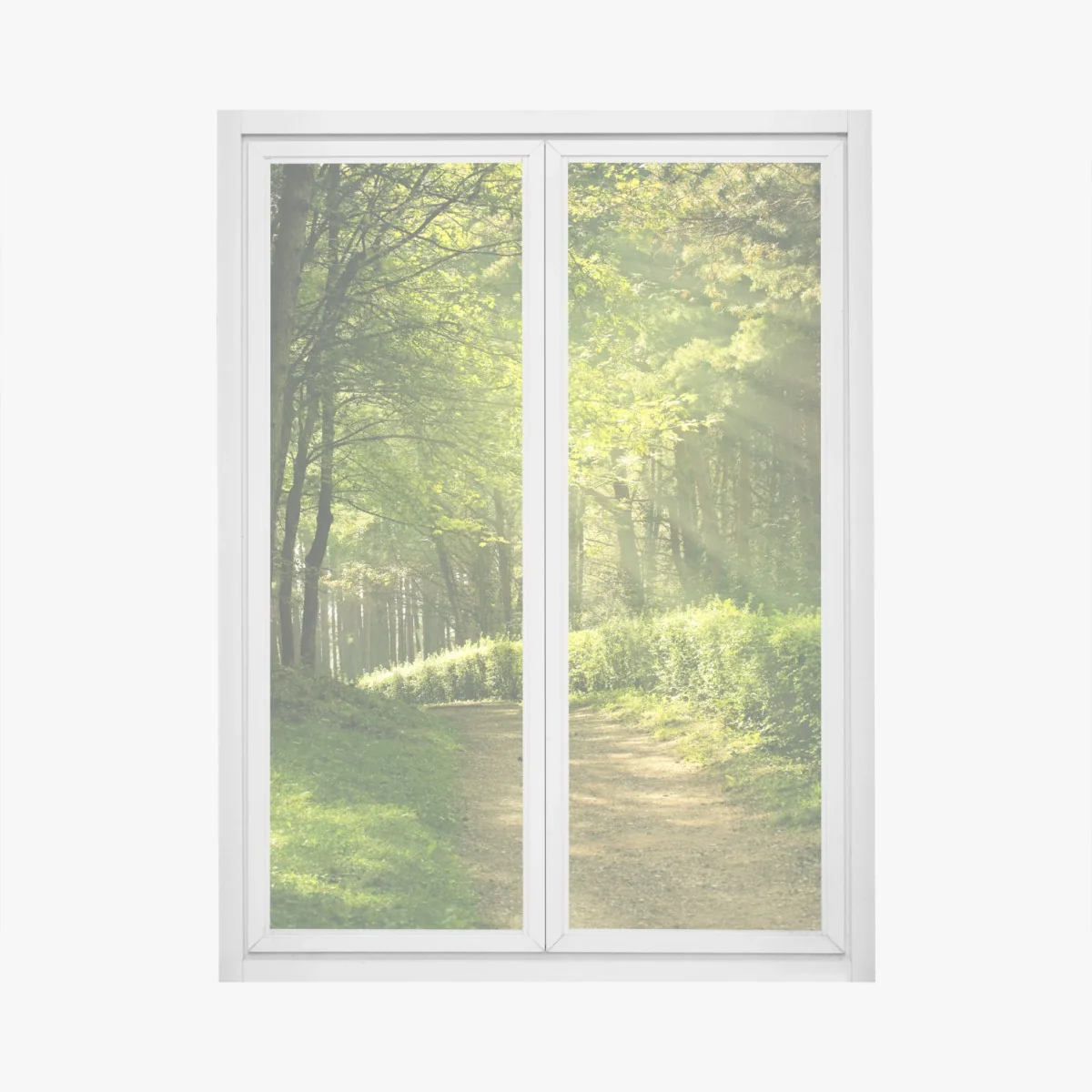 Naklejka na okno słoneczna leśna ścieżka w zieleni – Wallissimo® Naklejka na okno słoneczna leśna ścieżka w zieleni – Wallissimo®