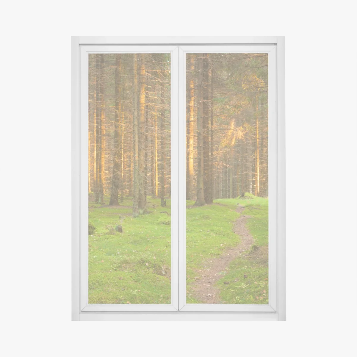 Naklejka na okno złote światło lesie sosnowym porośniętym mchem – Wallissimo® Naklejka na okno złote światło lesie sosnowym porośniętym mchem – Wallissimo®