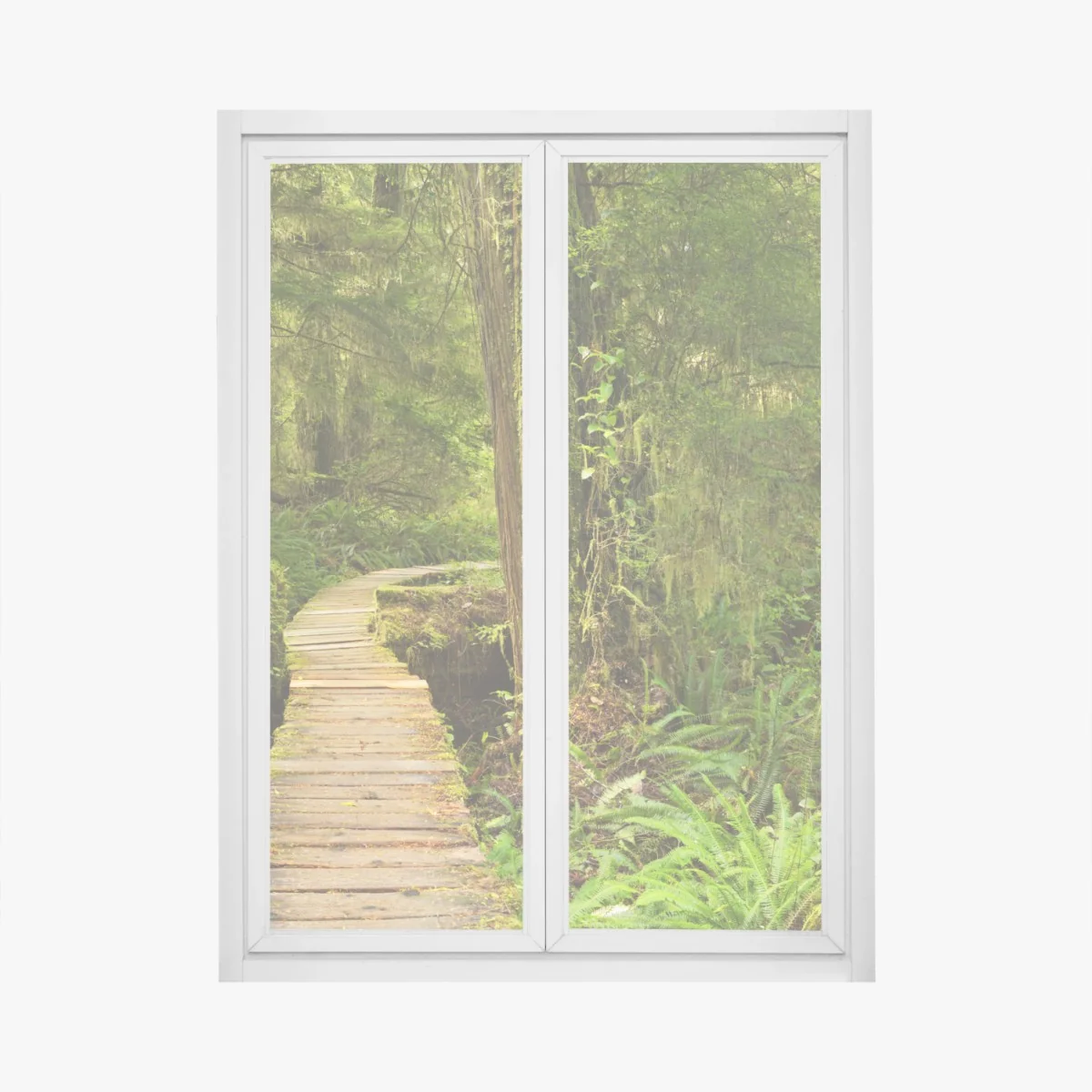 Naklejka na okno pomost w lesie deszczowym Pacific Rim – Wallissimo® Naklejka na okno pomost w lesie deszczowym Pacific Rim – Wallissimo®