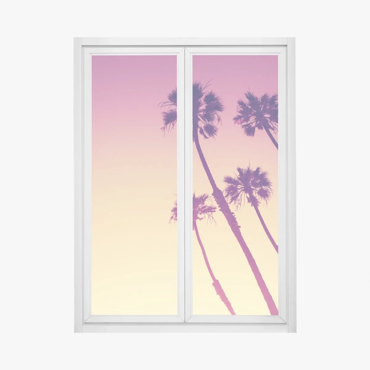 Naklejka na okno palmy z Kalifornii na Sunset Cliffs – Wallissimo® Naklejka na okno palmy z Kalifornii na Sunset Cliffs – Wallissimo®