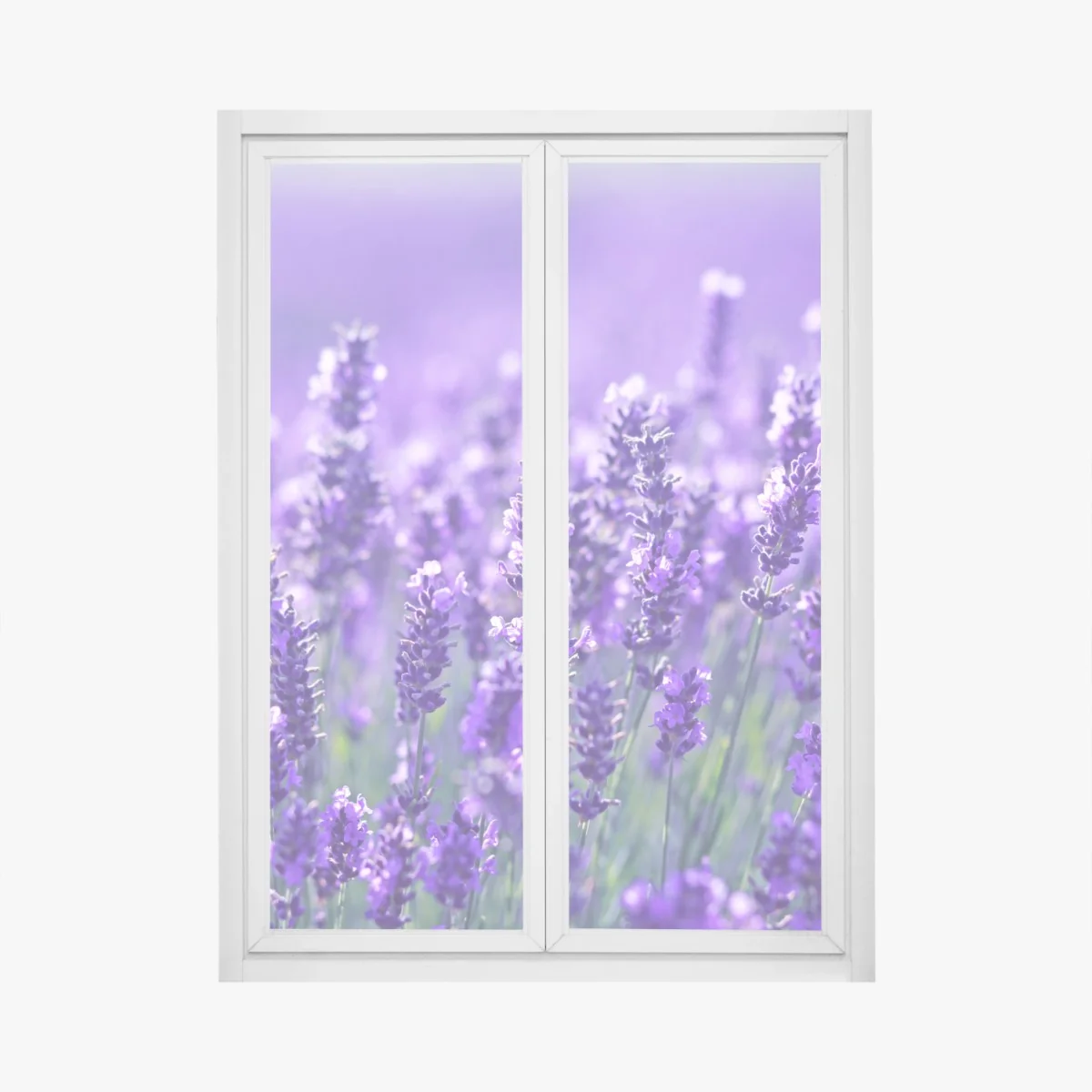 Naklejka na okno zbliżenie pola lawendy – Wallissimo® Naklejka na okno zbliżenie pola lawendy – Wallissimo®