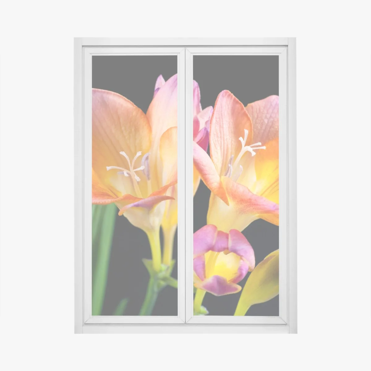 Naklejka na okno żywe pomarańczowe frezje na czarnym tle – Wallissimo® Naklejka na okno żywe pomarańczowe frezje na czarnym tle – Wallissimo®