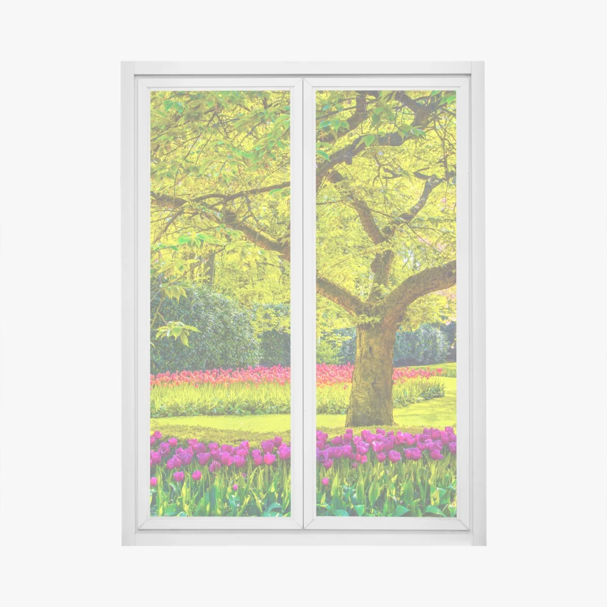 Naklejka na okno barwny ogród tulipanów w Keukenhof – Wallissimo® Naklejka na okno barwny ogród tulipanów w Keukenhof – Wallissimo®