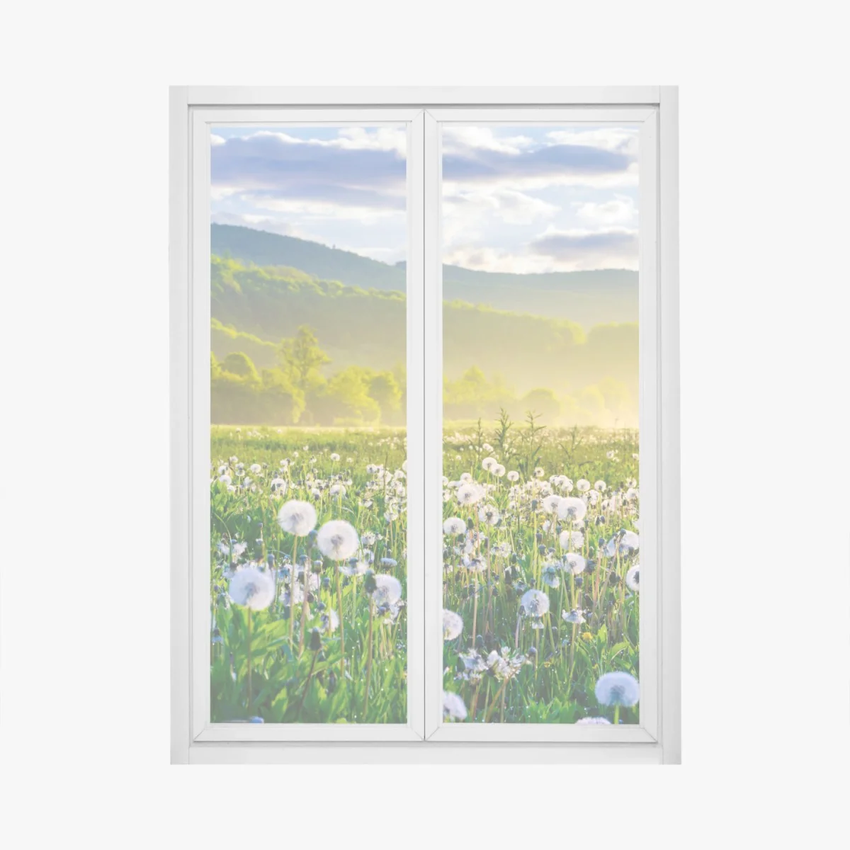 Naklejka na okno mglista łąka mleczy o wschodzie słońca – Wallissimo® Naklejka na okno mglista łąka mleczy o wschodzie słońca – Wallissimo®