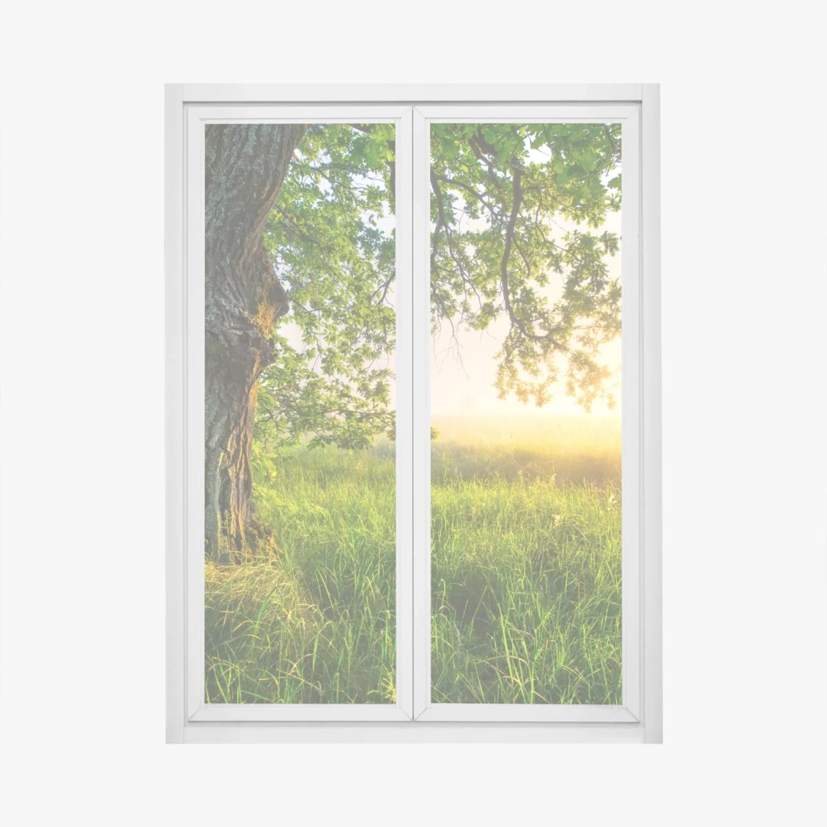 Naklejka na okno poranny dąb na rozświetlonej łące – Wallissimo® Naklejka na okno poranny dąb na rozświetlonej łące – Wallissimo®