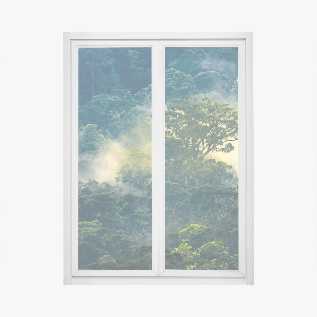 Naklejka na okno mglisty las deszczowy z koronami drzew – Wallissimo® Naklejka na okno mglisty las deszczowy z koronami drzew – Wallissimo®