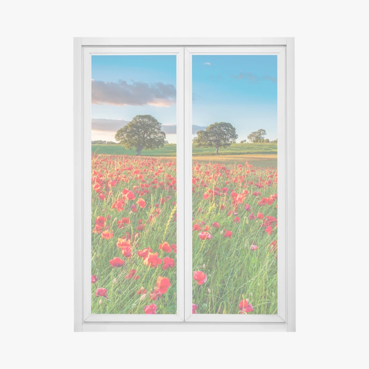 Naklejka na okno pole czerwonych maków koło Corbridge – Wallissimo® Naklejka na okno pole czerwonych maków koło Corbridge – Wallissimo®