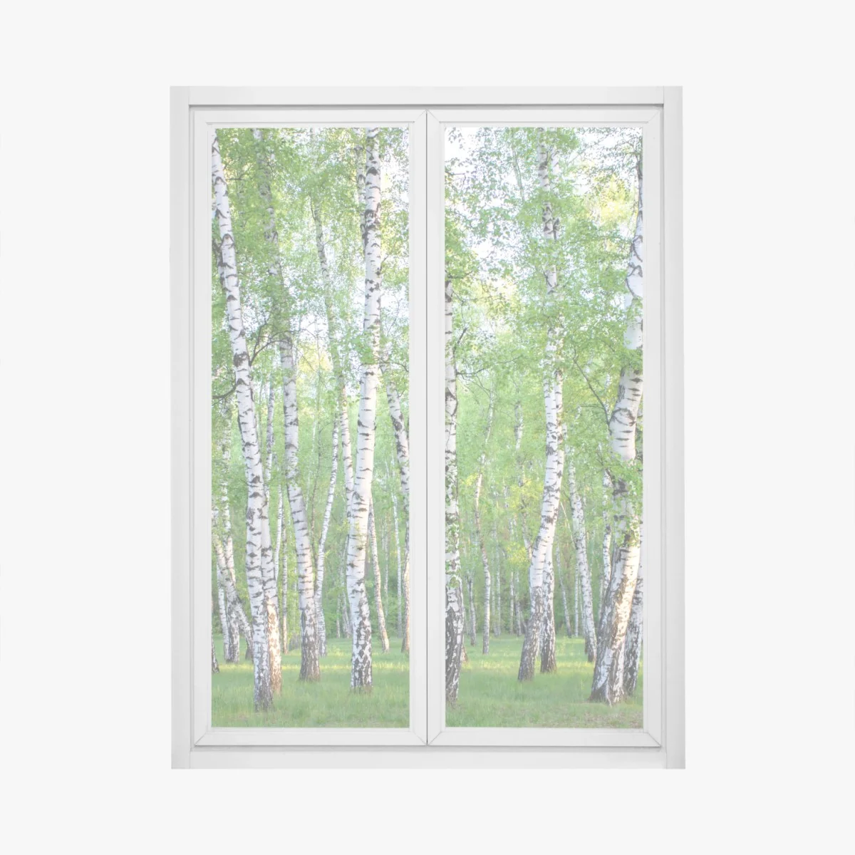 Naklejka na okno spokojny brzozowy gaj latem – Wallissimo® Naklejka na okno spokojny brzozowy gaj latem – Wallissimo®