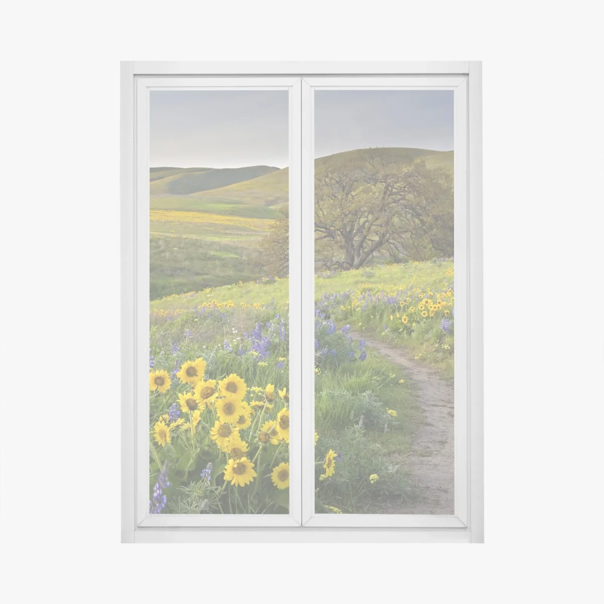 Naklejka na okno ścieżka przez złotą łąkę z dzikimi kwiatami – Wallissimo® Naklejka na okno ścieżka przez złotą łąkę z dzikimi kwiatami – Wallissimo®