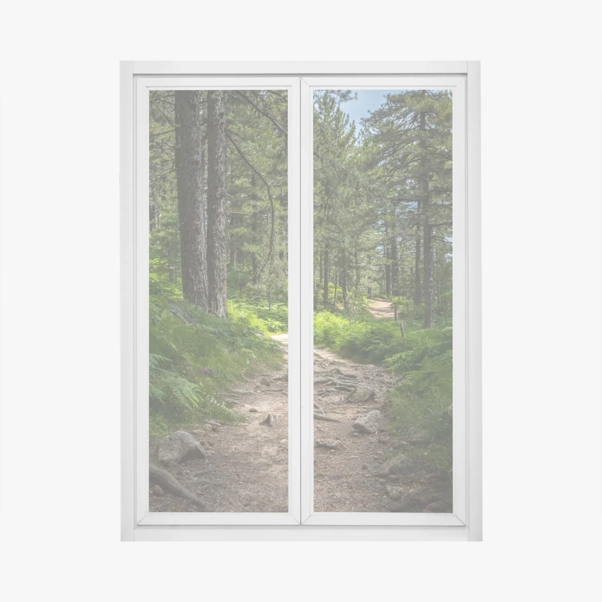 Naklejka na okno spokojna ścieżka leśna wśród bujnej zieleni – Wallissimo® Naklejka na okno spokojna ścieżka leśna wśród bujnej zieleni – Wallissimo®