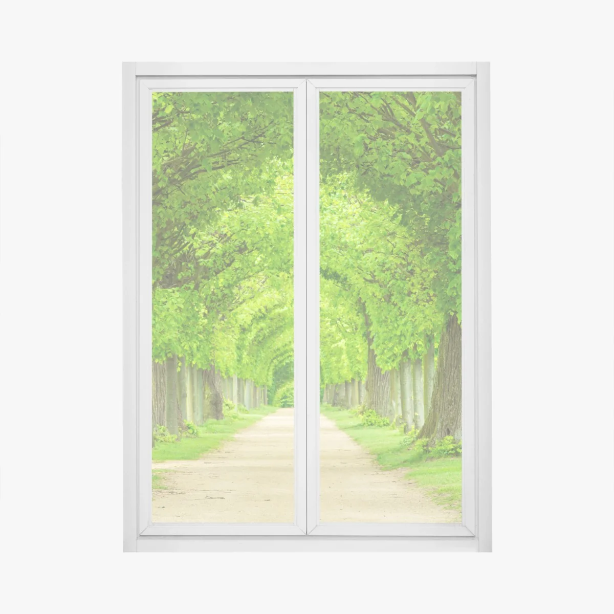 Naklejka na okno zielony tunel drzew – Wallissimo® Naklejka na okno zielony tunel drzew – Wallissimo®