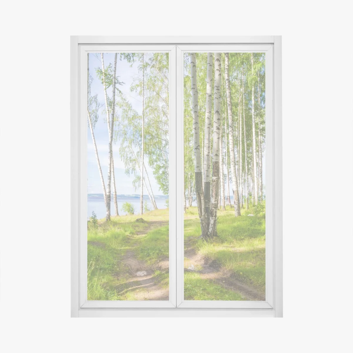 Naklejka na okno słoneczny zagajnik brzozowy nad wodą – Wallissimo® Naklejka na okno słoneczny zagajnik brzozowy nad wodą – Wallissimo®