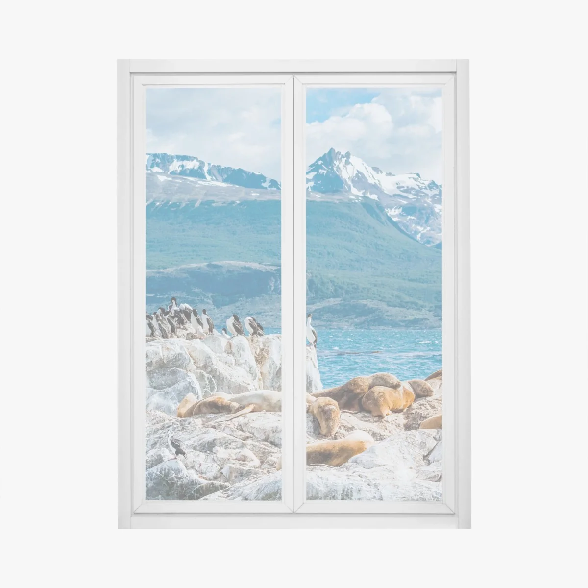 Naklejka na okno lwy morskie i ptaki na skalistym wybrzeżu – Wallissimo®