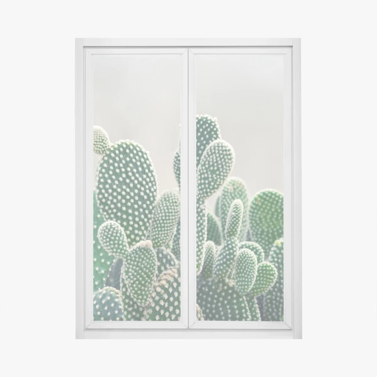 Naklejka na okno zbliżenie kaktusa opuncji – Wallissimo® Naklejka na okno zbliżenie kaktusa opuncji – Wallissimo®