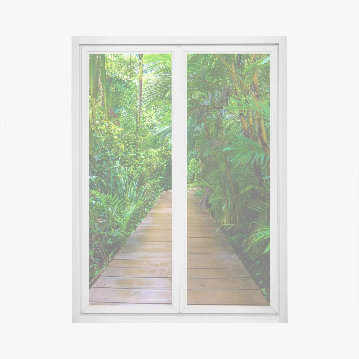 Naklejka na okno mangrowa kładka w bujnej zielonej dżungli – Wallissimo® Naklejka na okno mangrowa kładka w bujnej zielonej dżungli – Wallissimo®