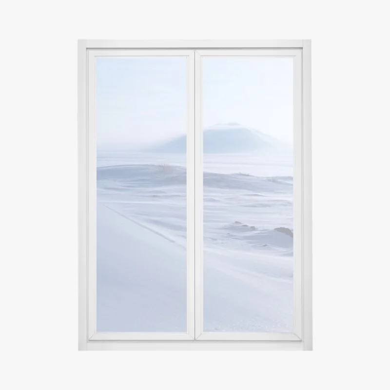 Naklejka na okno lwy morskie i ptaki na skalistym wybrzeżu – Wallissimo®