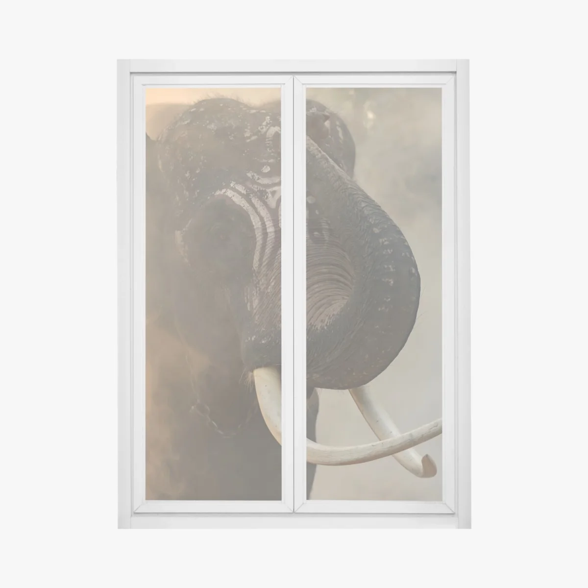 Naklejka na okno majestatyczny słoń z Tajlandii z kłami – Wallissimo® Naklejka na okno majestatyczny słoń z Tajlandii z kłami – Wallissimo®