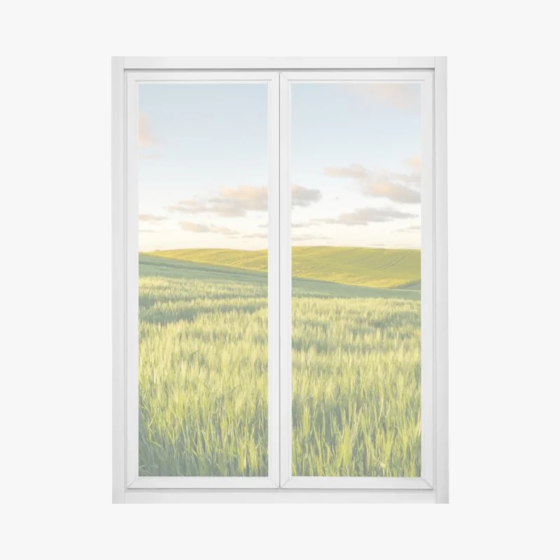 Naklejka na okno tropikalna kompozycja liści bananowca – Wallissimo®