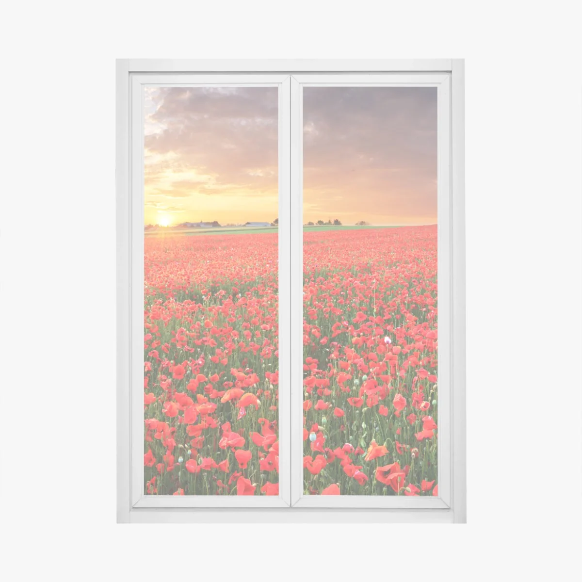 Naklejka na okno pole maków o zachodzie słońca – Wallissimo®