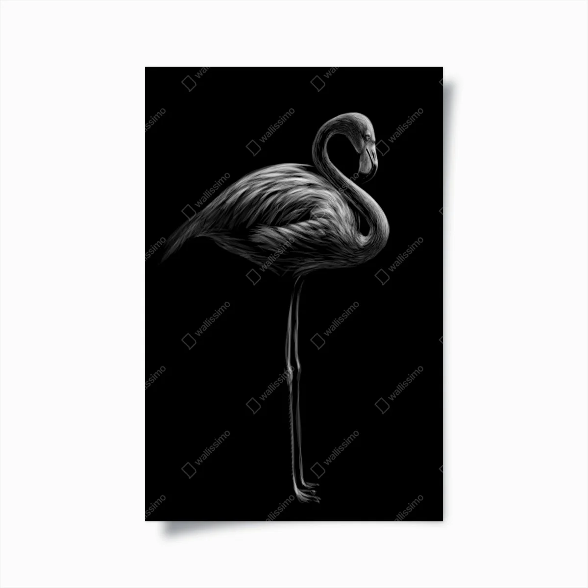 Plakat grafika flaminga w odcieniach szarości – Wallissimo® Plakat grafika flaminga w odcieniach szarości – Wallissimo®