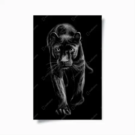 Plakat krocząca czarna pantera ilustracja – Wallissimo®