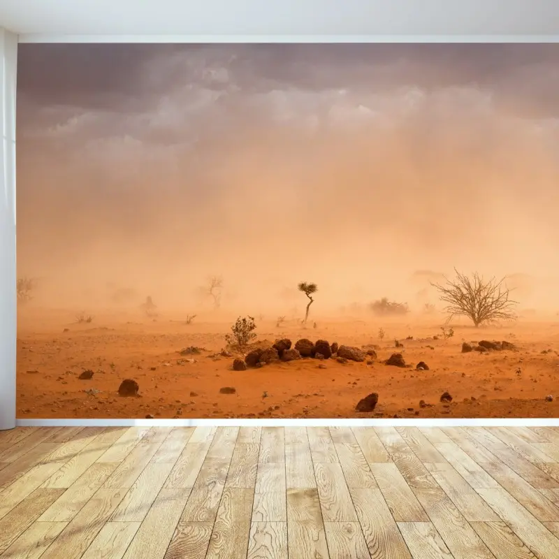 Fototapeta burza piaskowa nad Dollo Ado, Etiopia