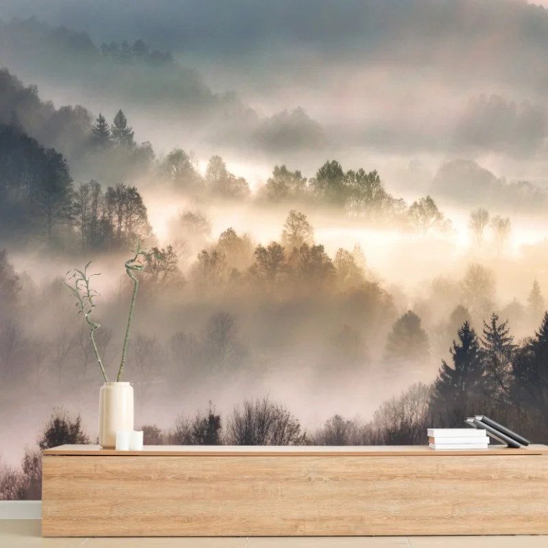 Fototapeta mglisty las o świcie