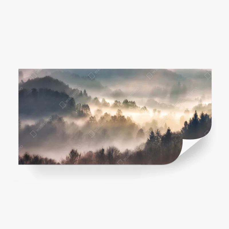 Fototapeta mglisty las o świcie – Wallissimo® Fototapeta mglisty las o świcie – Wallissimo®