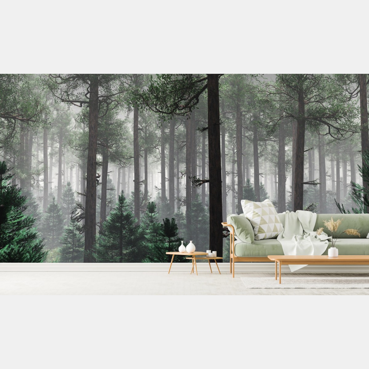 Fototapeta mglisty iglasty las – Wallissimo®
